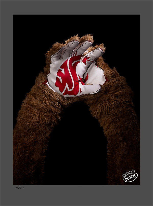 Butch T. Cougar